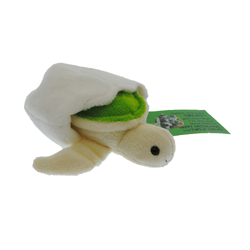 Zoom – Green Turtle Hatchling Plush Toy With Attached Soft Egg Shell