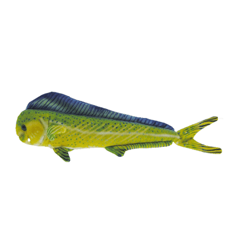 Rainbow Dolphinfish Plush Toy
