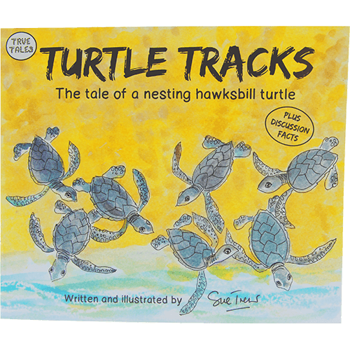 Turtle Tracks Book
