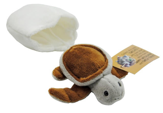Bump – Brown Turtle Hatchling Plush Toy With Attached Soft Egg Shell